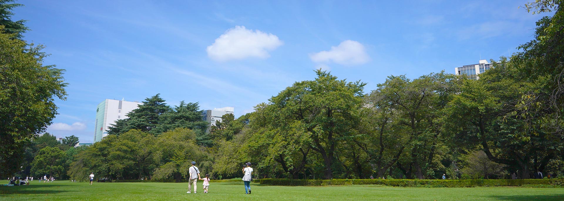 法人から個人のお客様まで対応（新宿の弁護士相談）