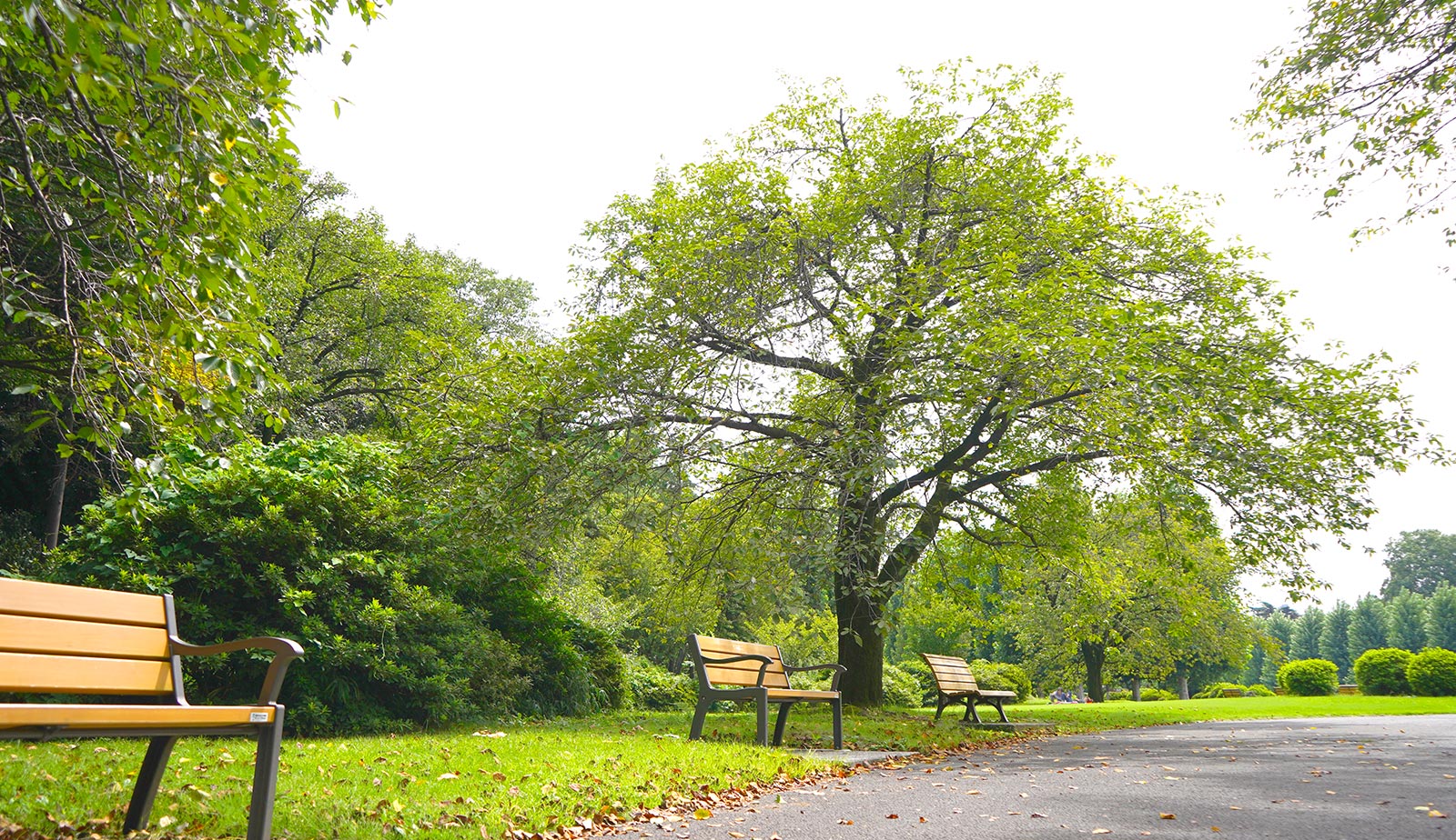 新宿の弁護士 小泉始の3つのポリシー